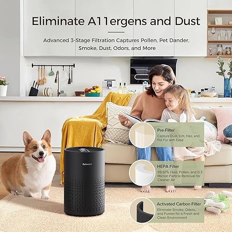 Air Purifier 