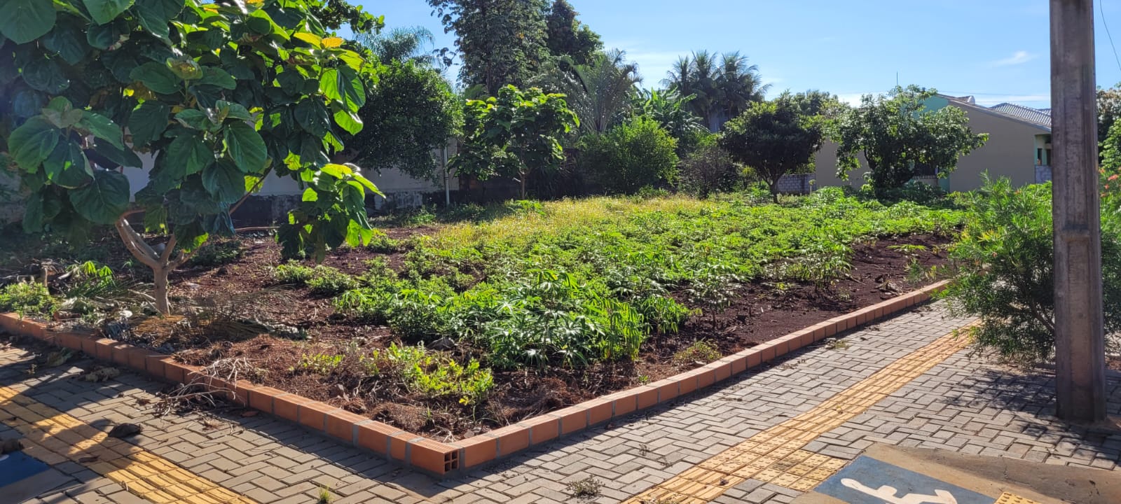 Lote em Itaipulândia