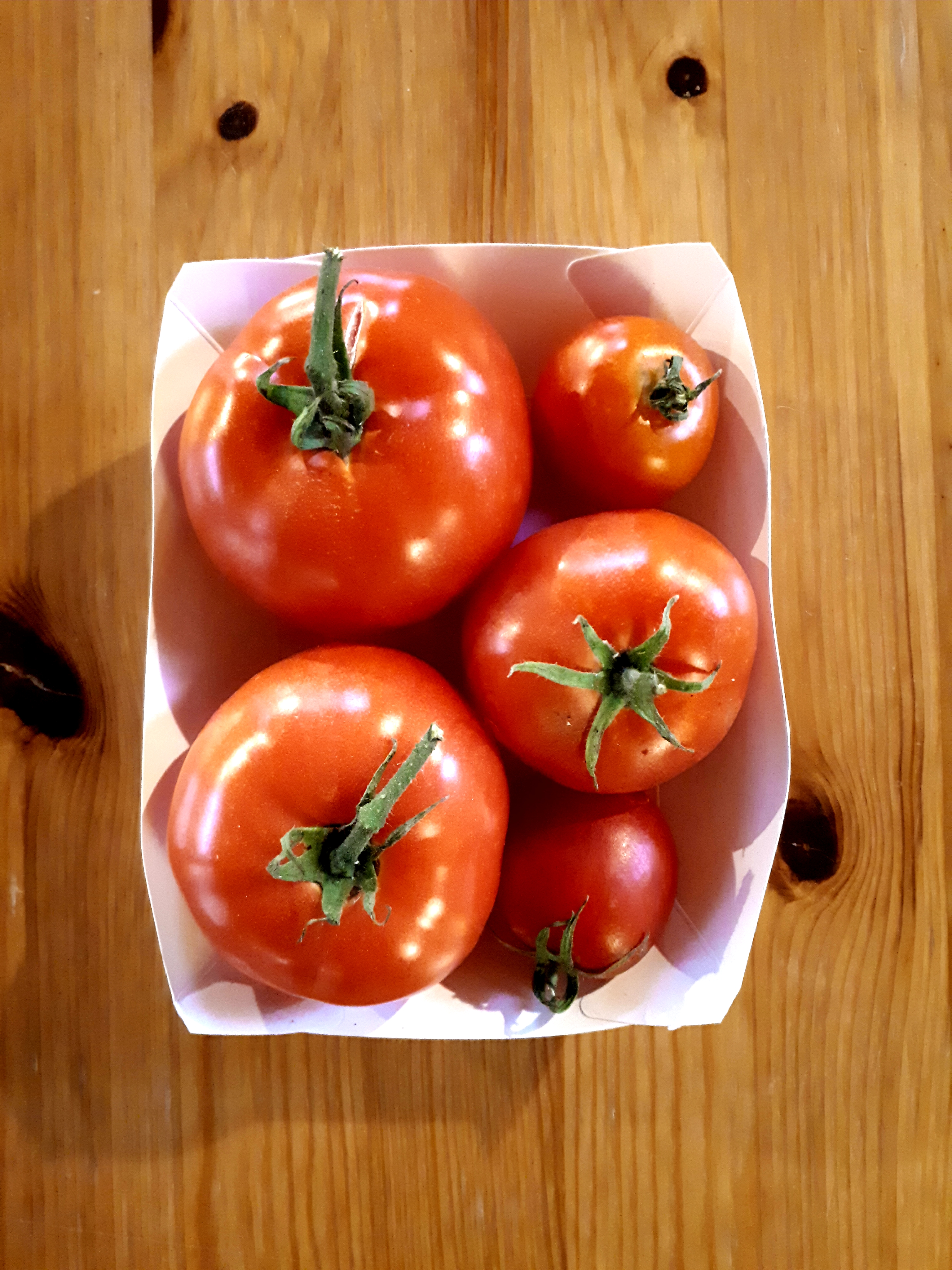 Slicing Tomatoes
