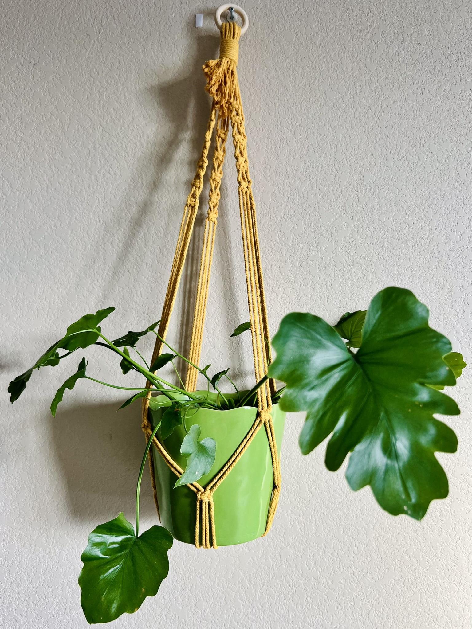 Plant Hanger: Fringe-Free Bottom