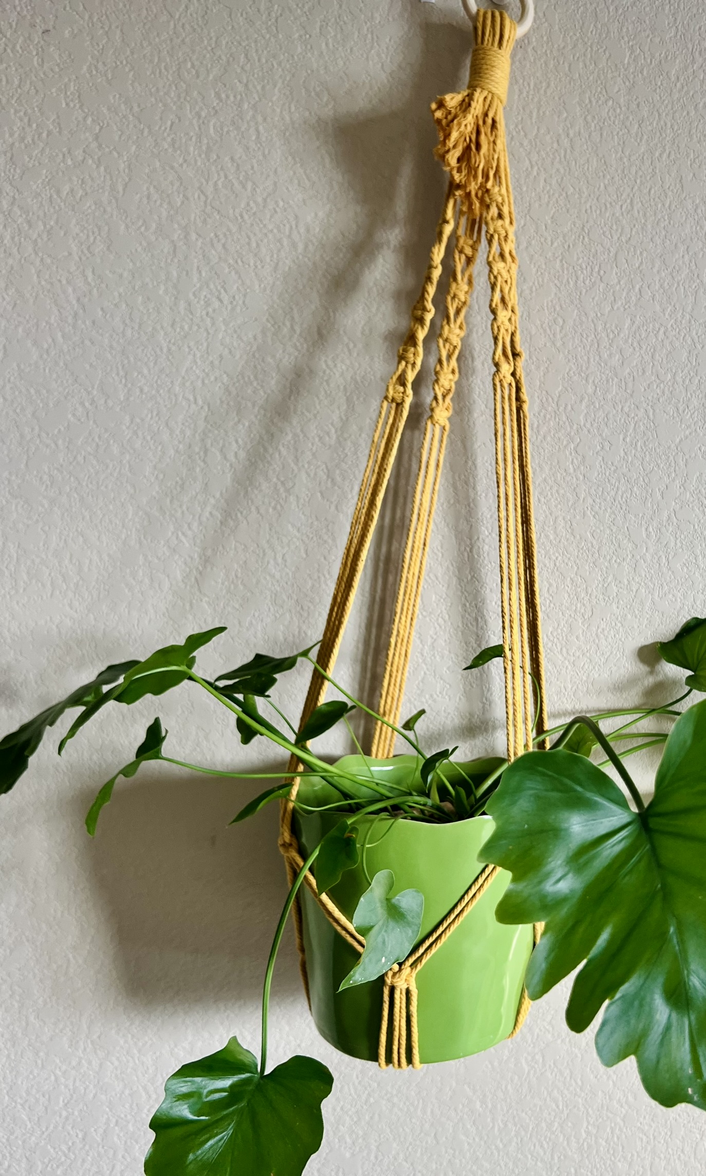 Plant Hanger: Fringe-Free Bottom
