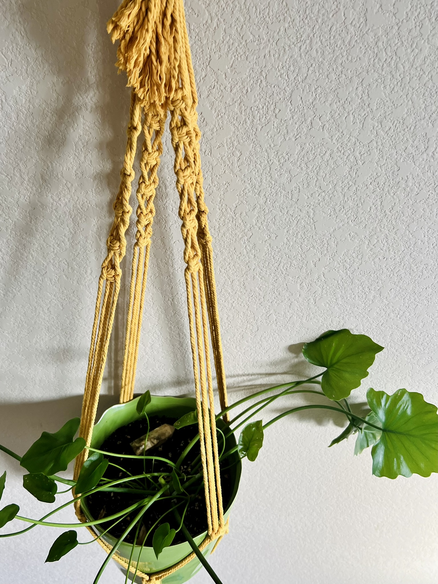 Plant Hanger: Fringe-Free Bottom