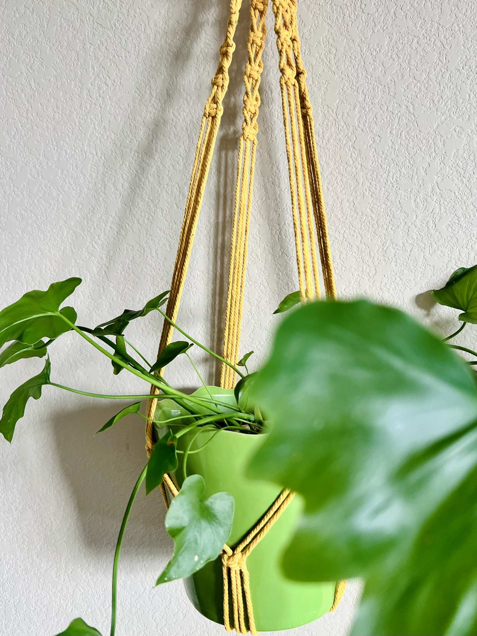 Plant Hanger: Fringe-Free Bottom