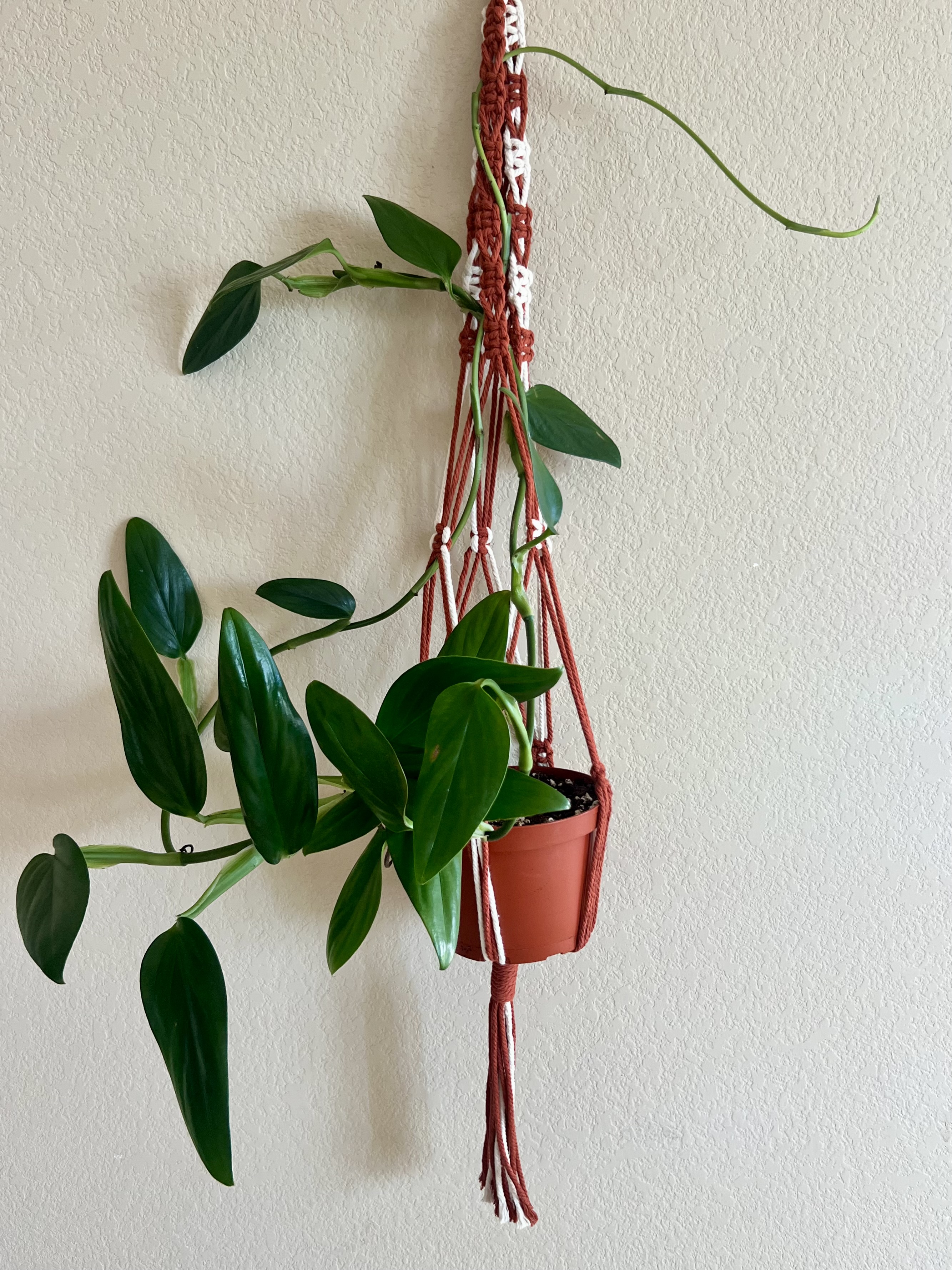 Long Handmade Macrame Plant Hanger