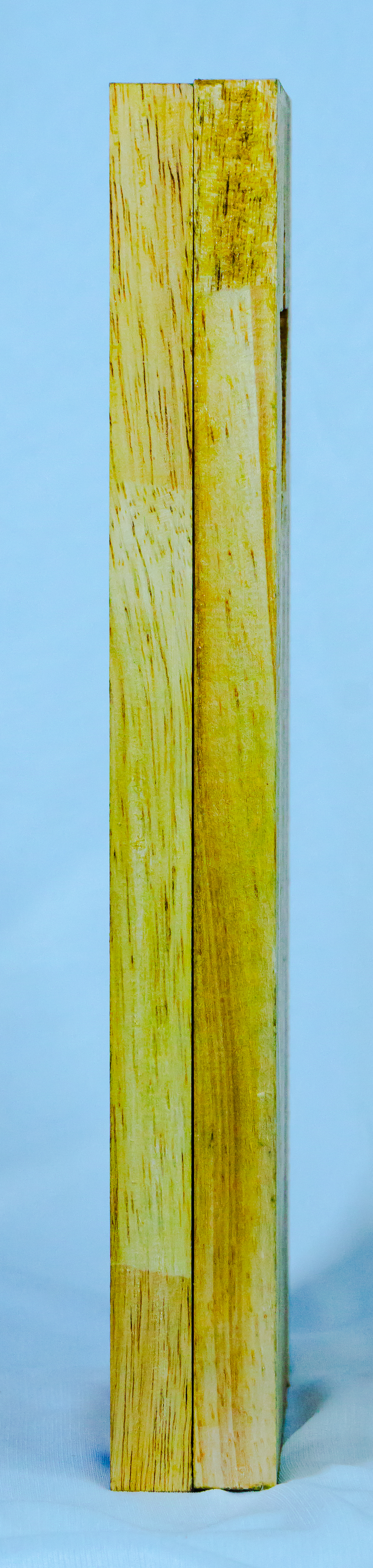 Wooden Star Champion Award