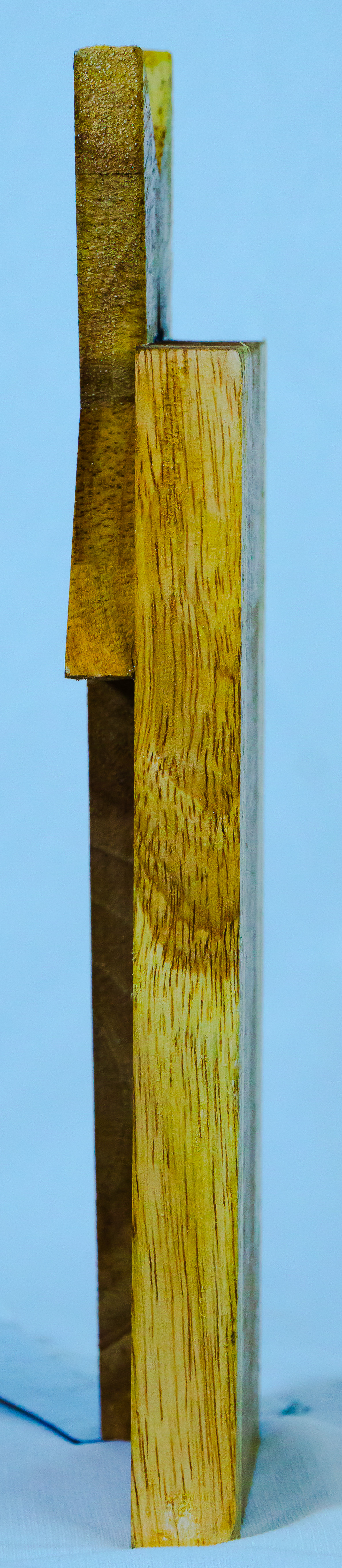 Star of the Year Wooden Trophy