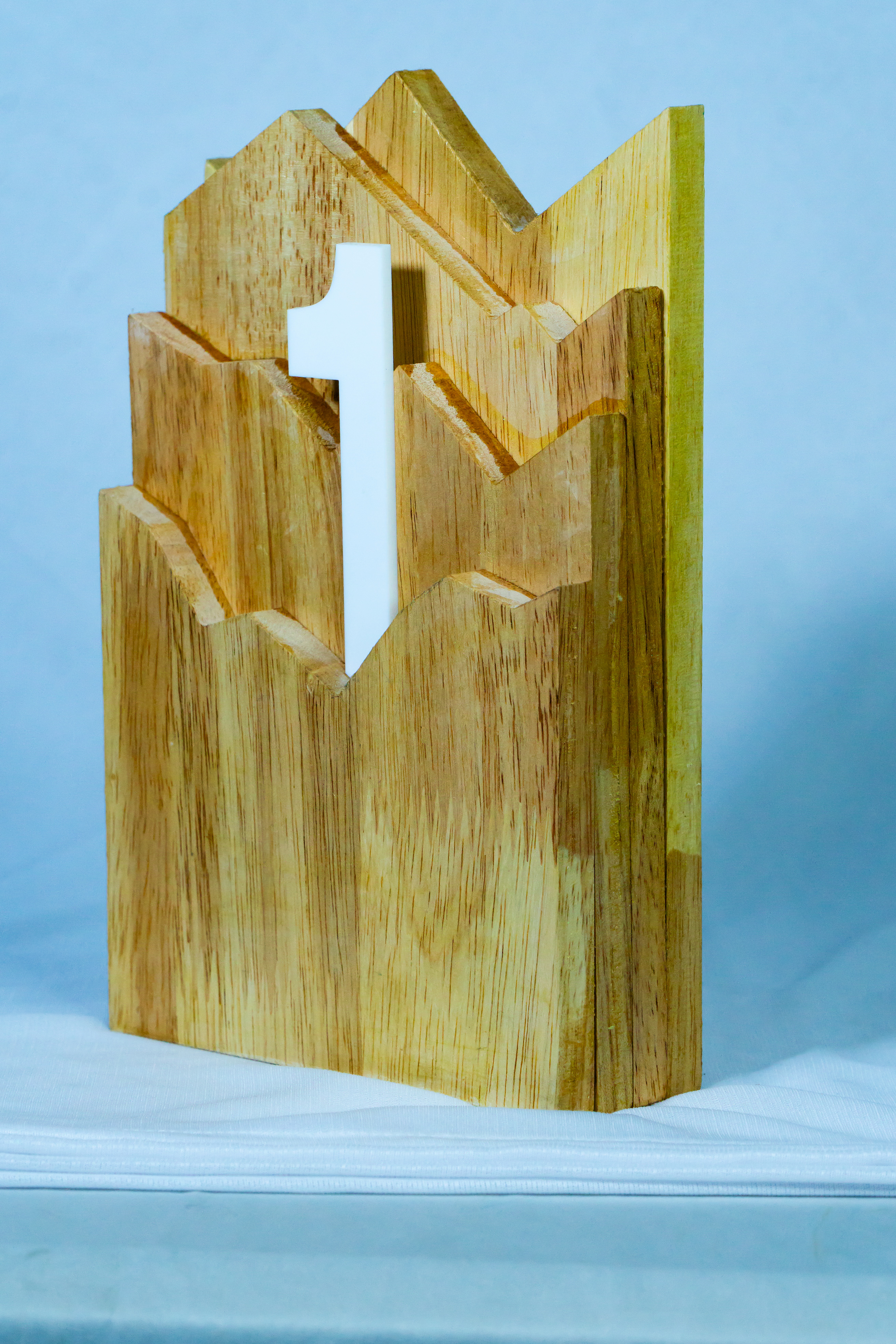 Wooden endower award