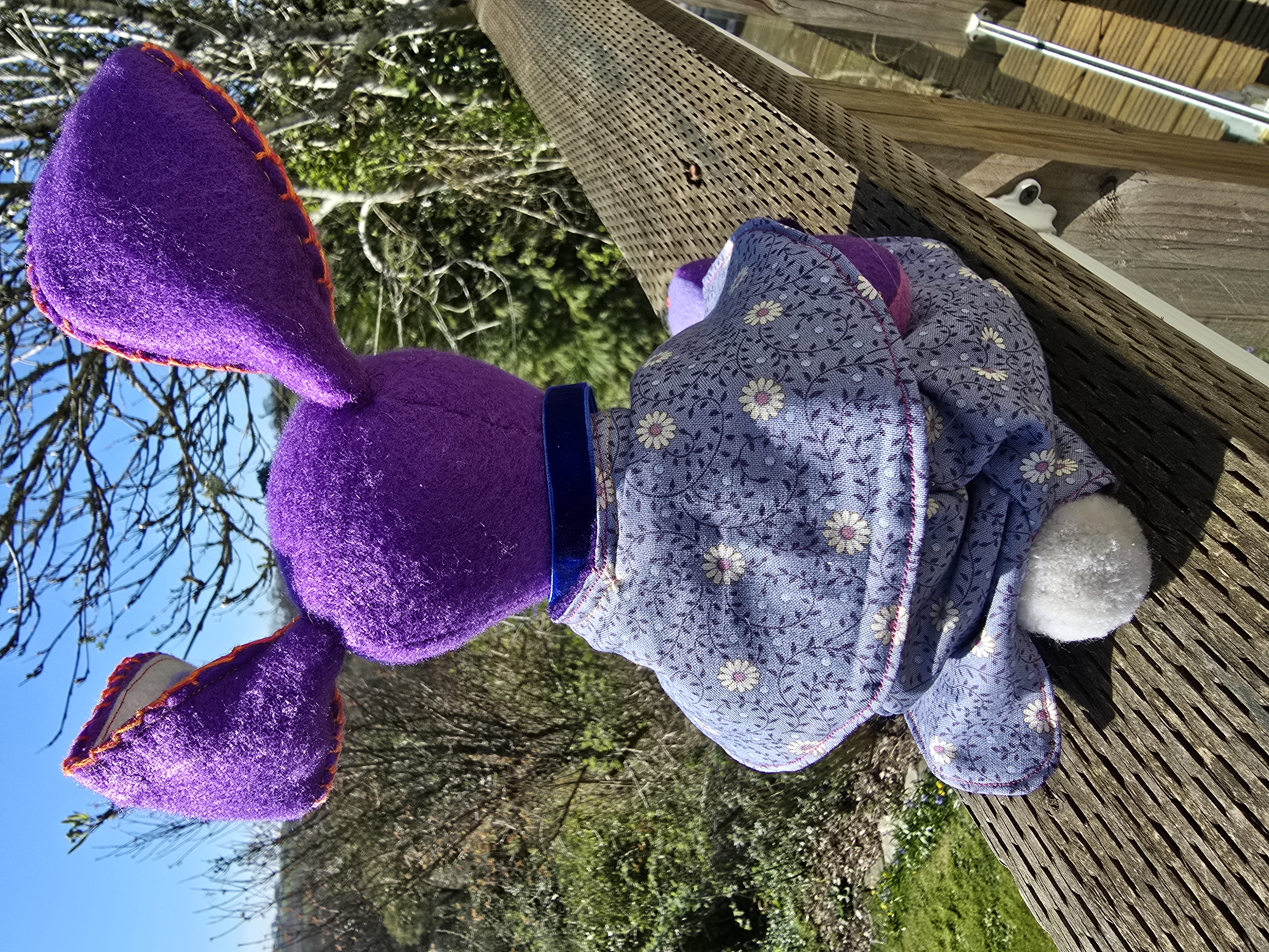 Lilac Hare