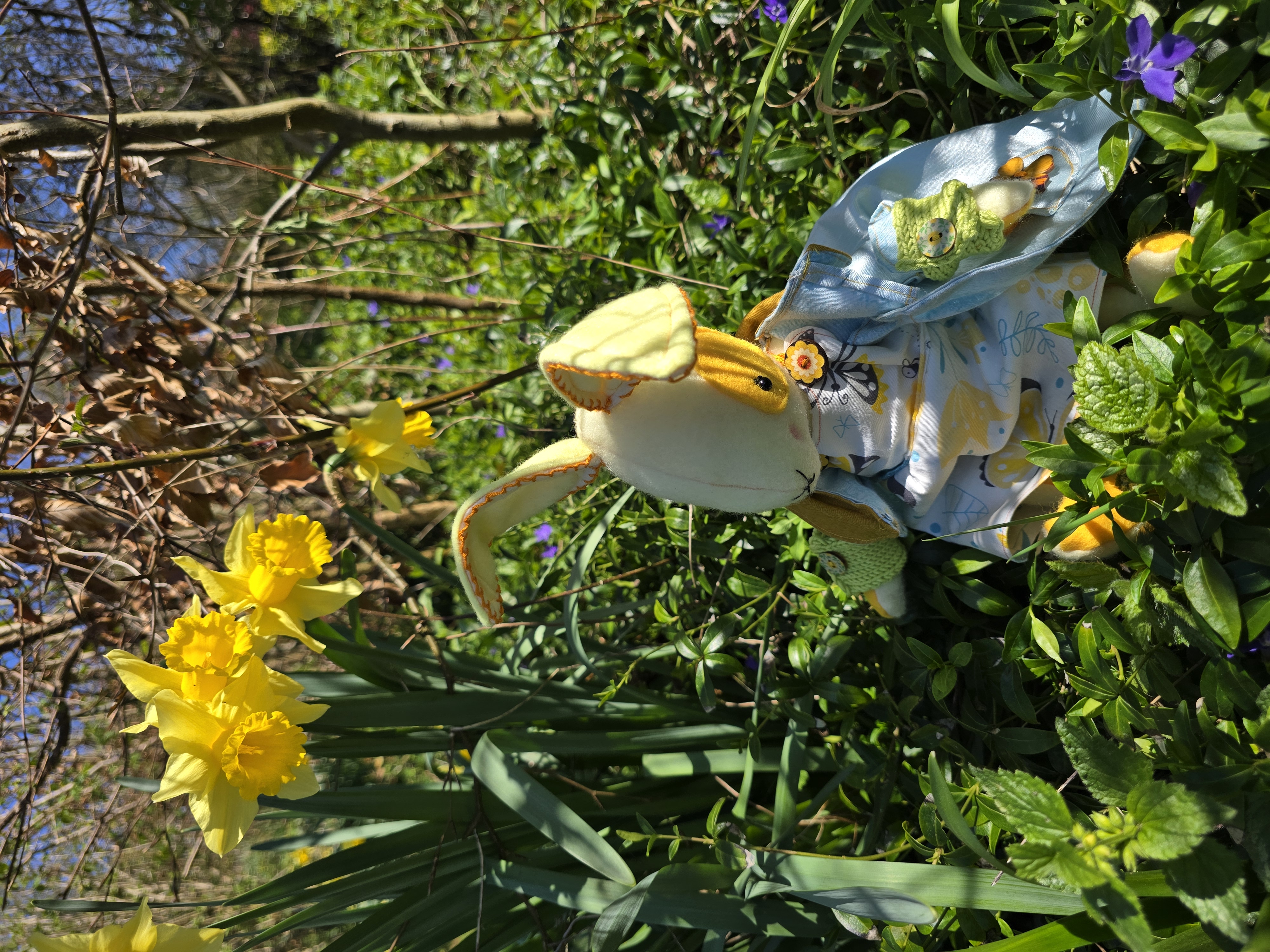 Daffodil Rabbit