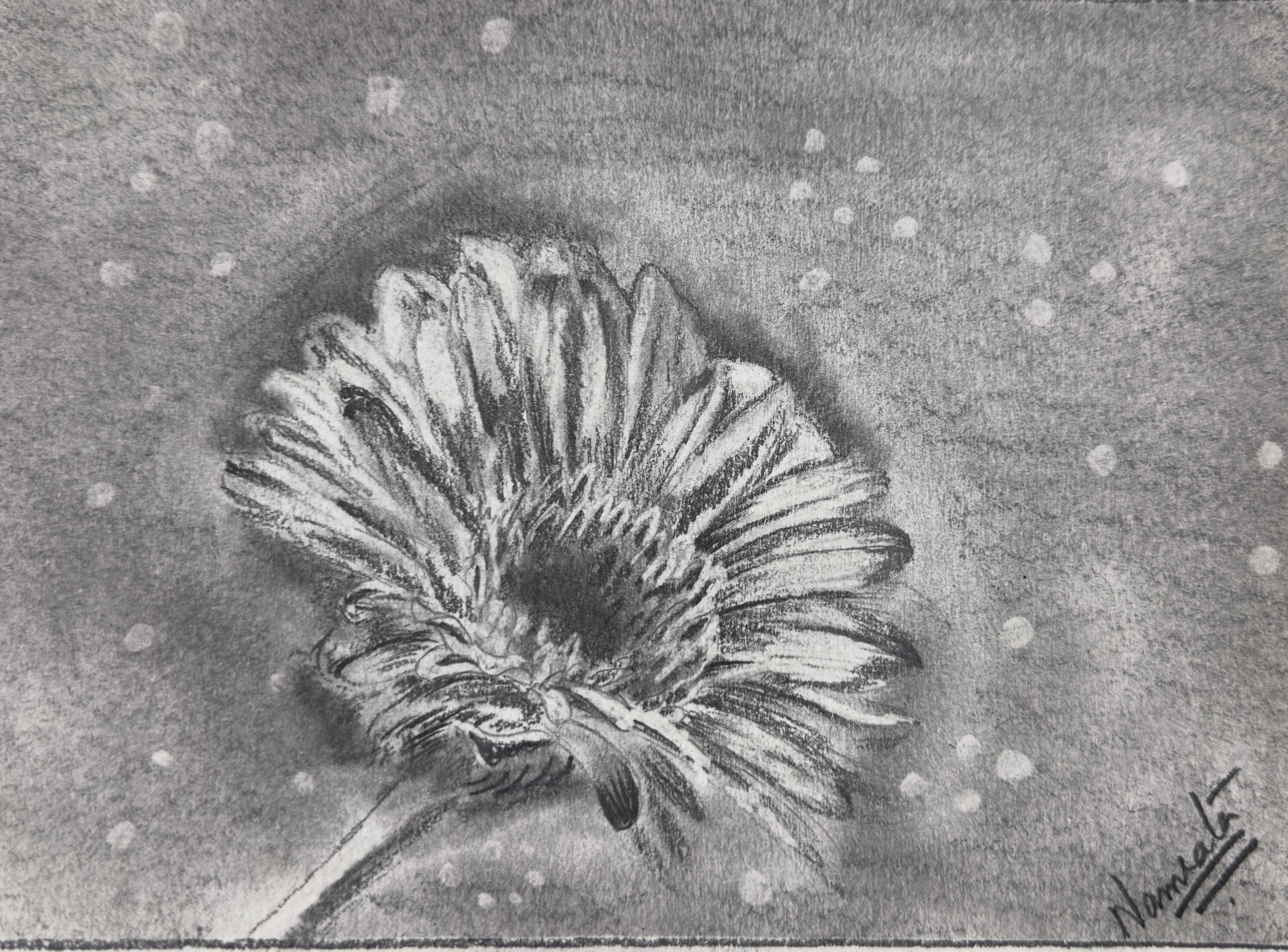 Charcoal Flower Art