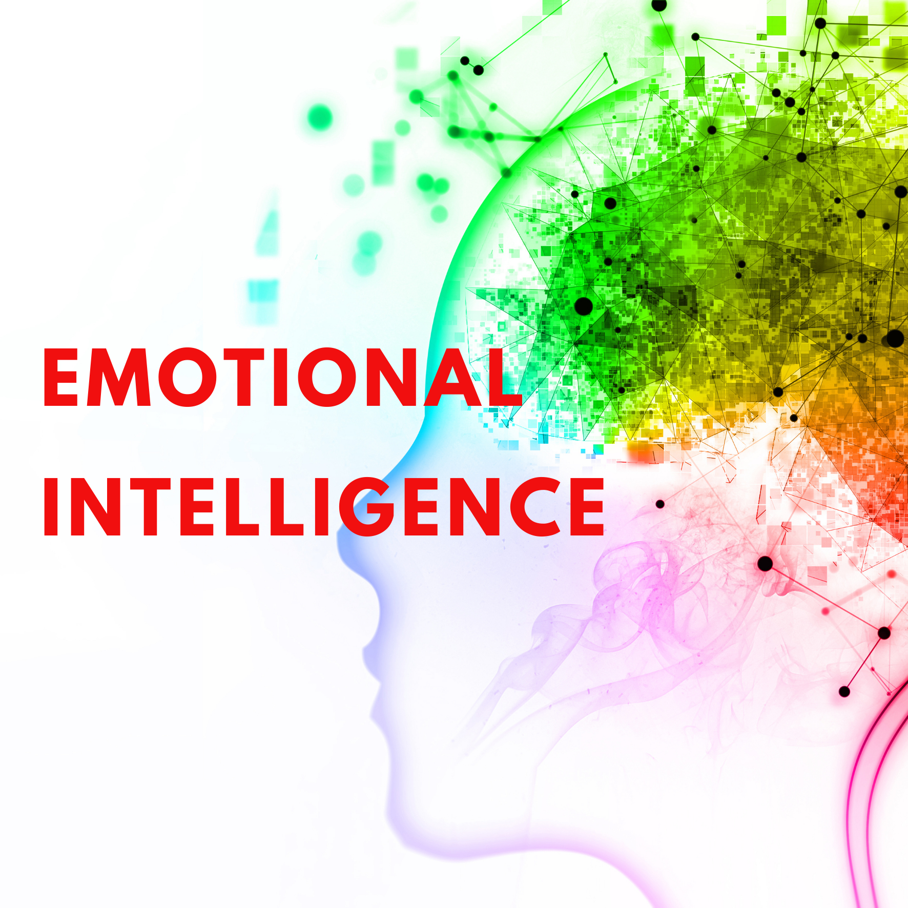 Emotional Intelligence 