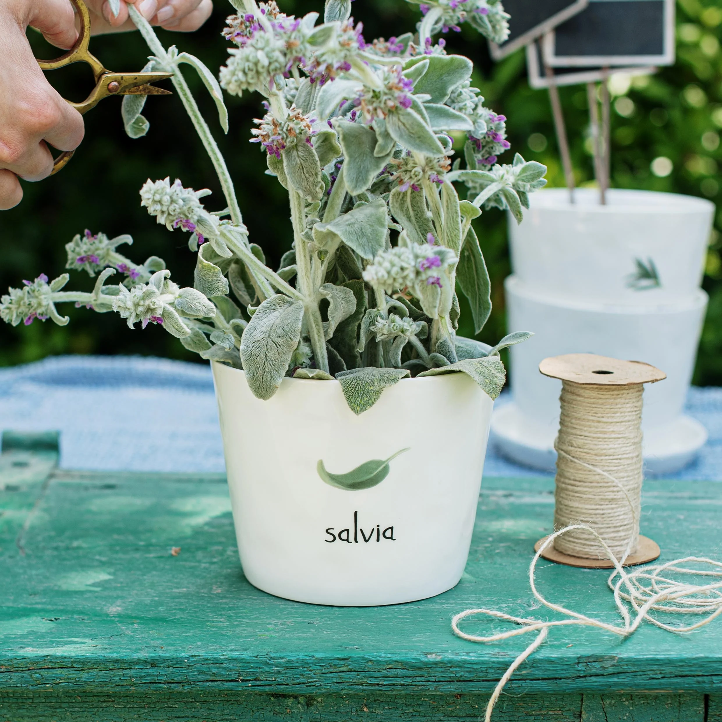 Vaso con sottovaso "Salvia"