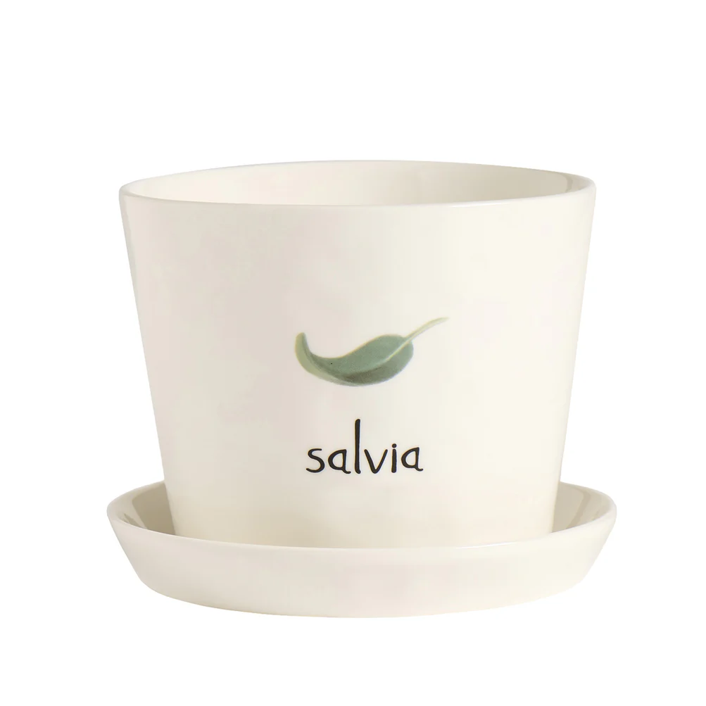 Vaso con sottovaso "Salvia"