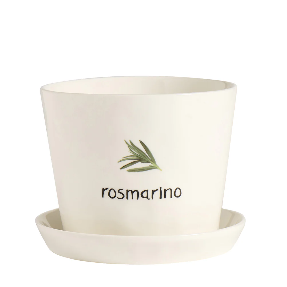 Vaso con sottovaso "Rosmarino"