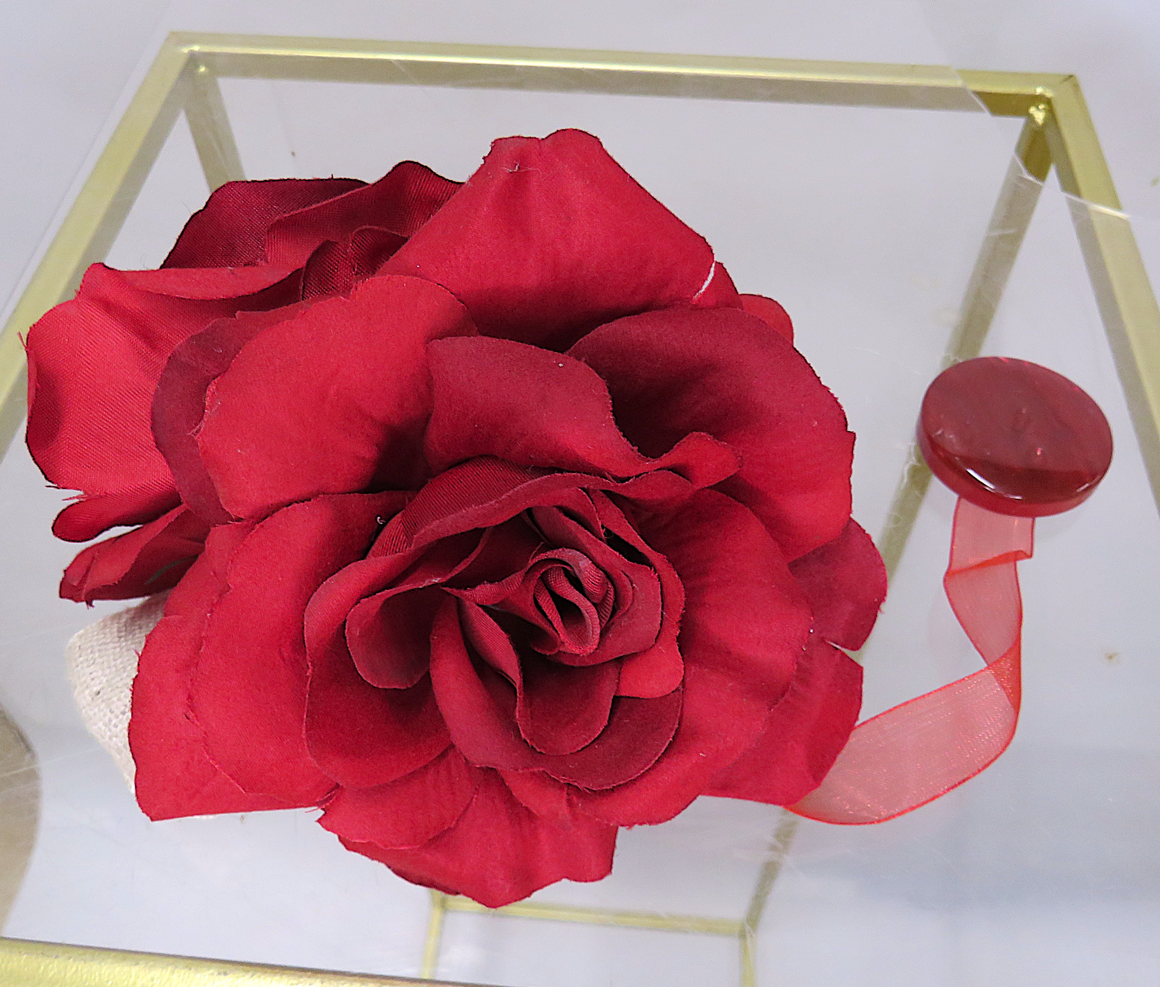 Embrasse rosa rossa per tenda 