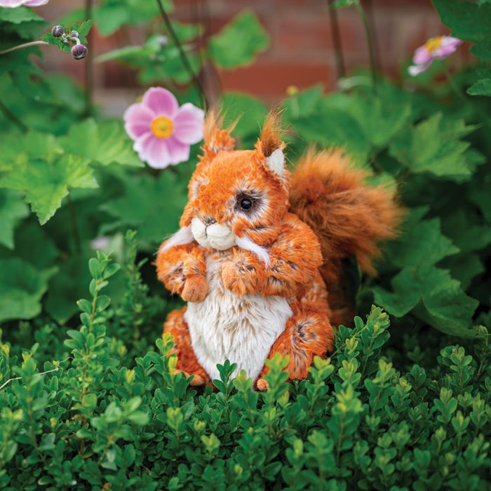 Peluche scoiattolo 