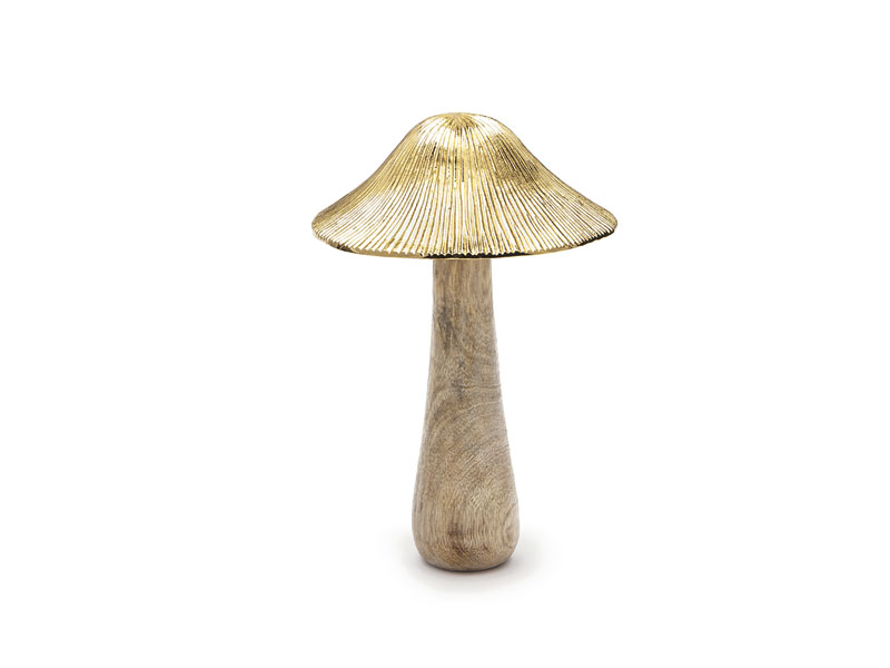 Fungo legno grande 