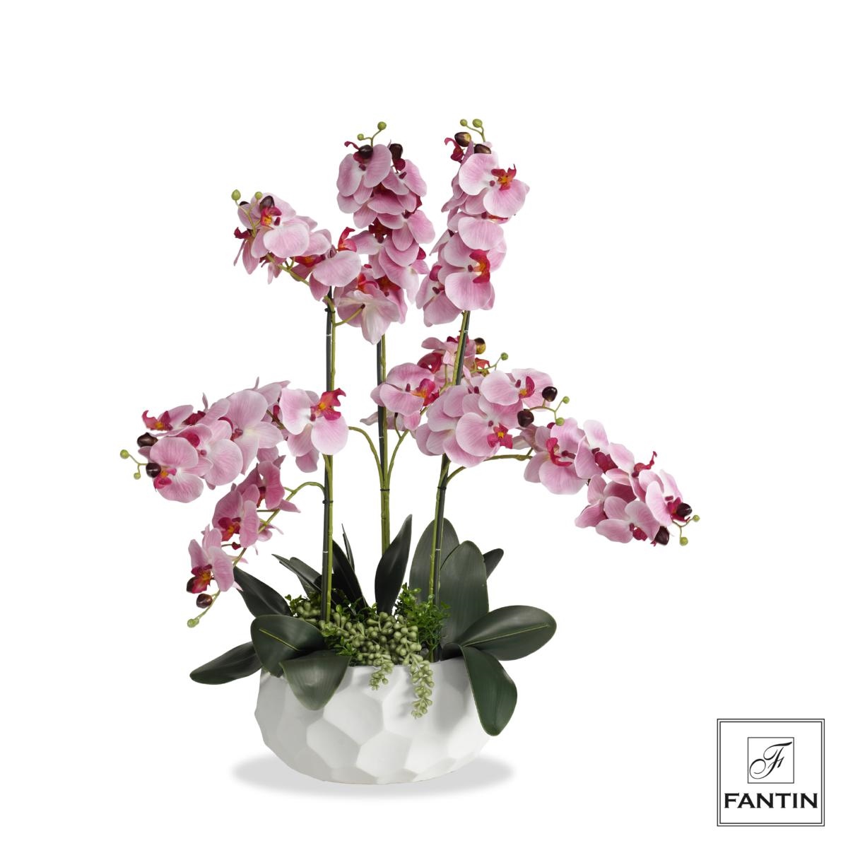 Orchidea rosa 9 rami 