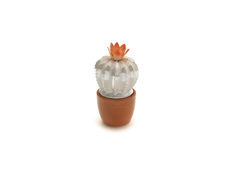 Contenitore cactus 
