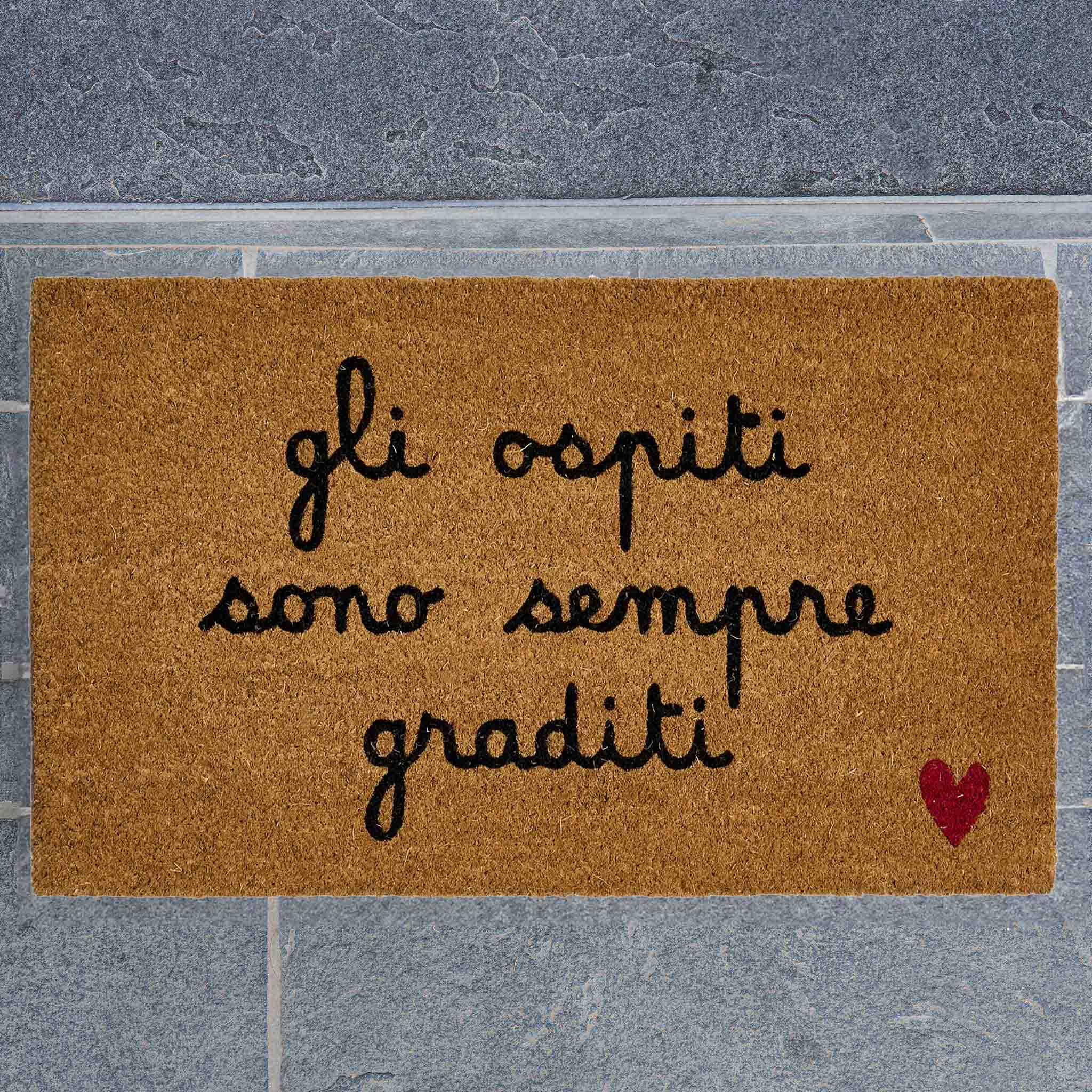Zerbino "gli ospiti sono sempre graditi"