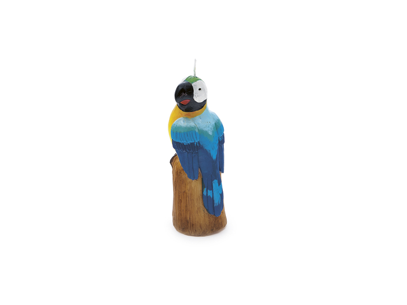 Candela Parrot 