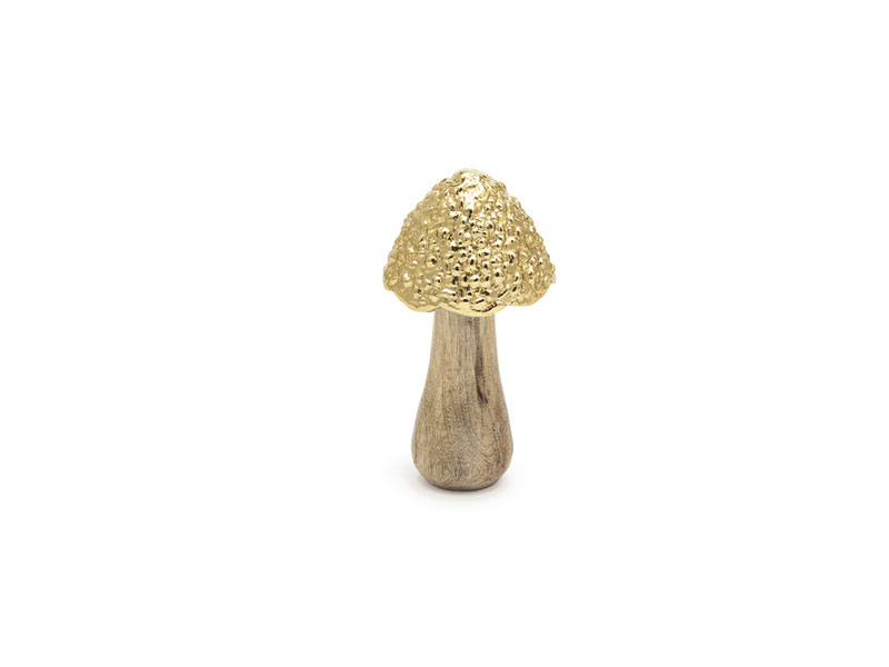 Fungo legno piccolo 