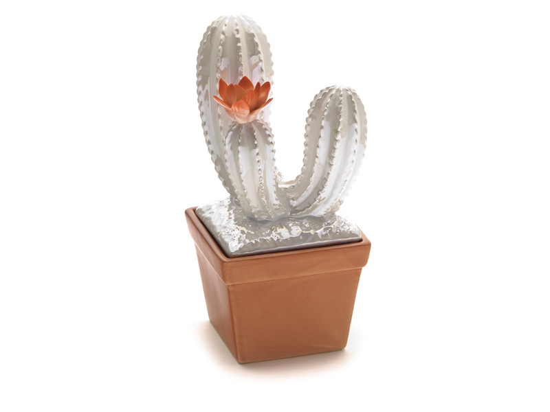 Contenitore cactus ceramica perlato 
