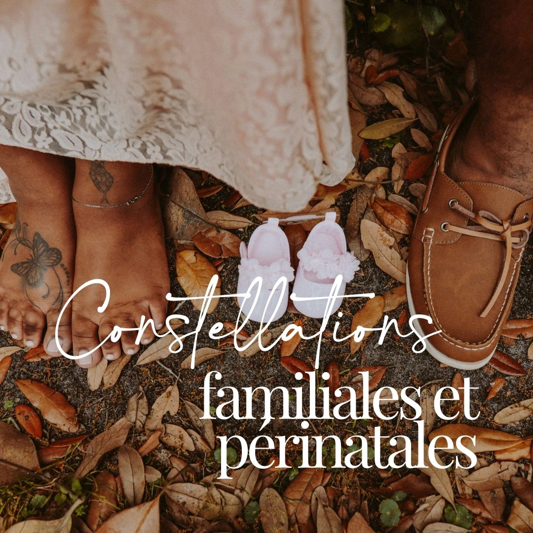 Formation Constellations Familiales et Périnatales