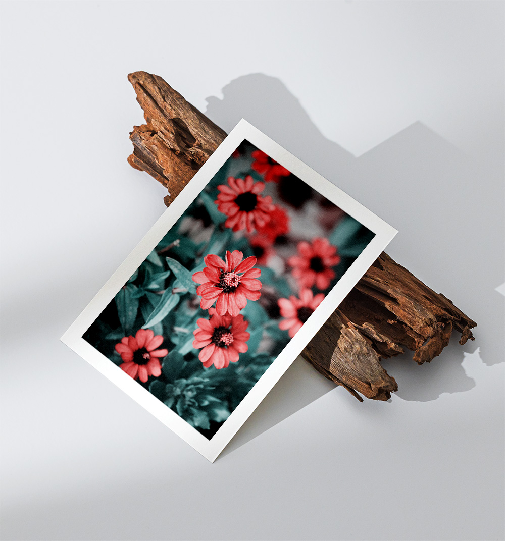 "Faded Flowers" Postcard