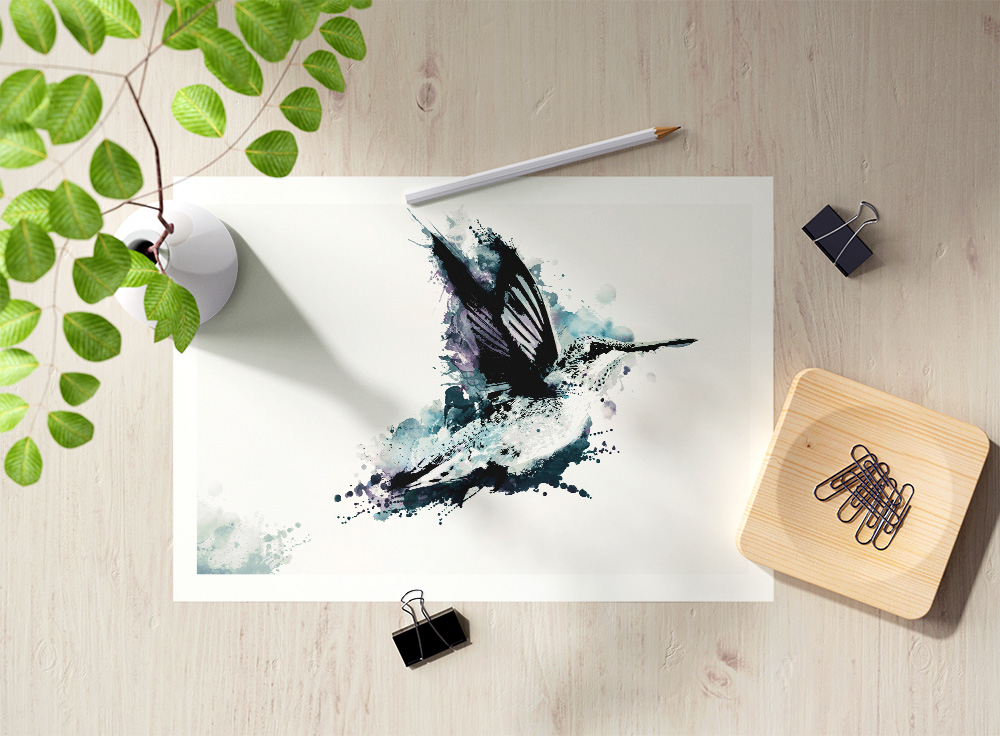 "Humming-Bird" Postcard