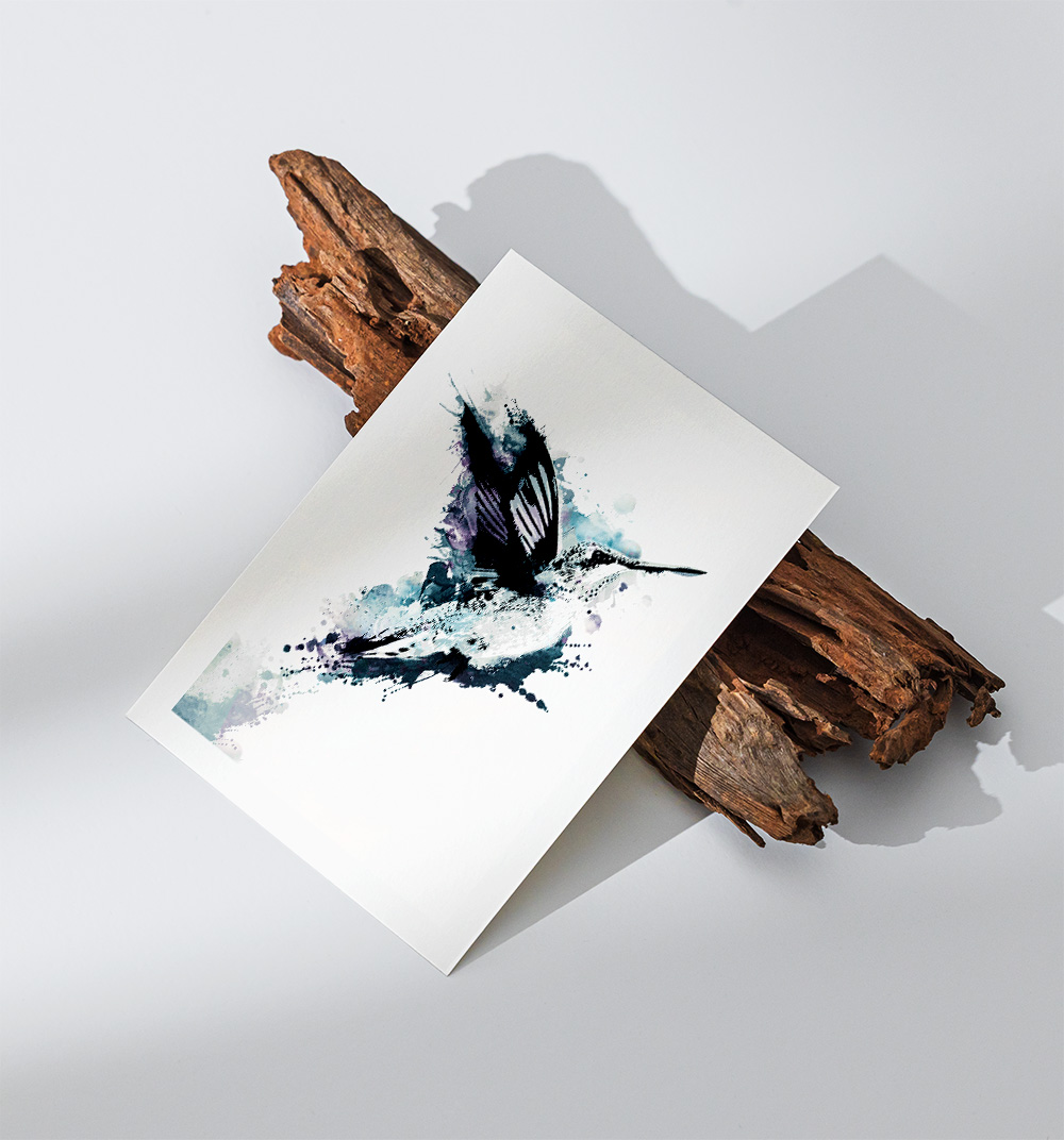 "Humming-Bird" Postcard