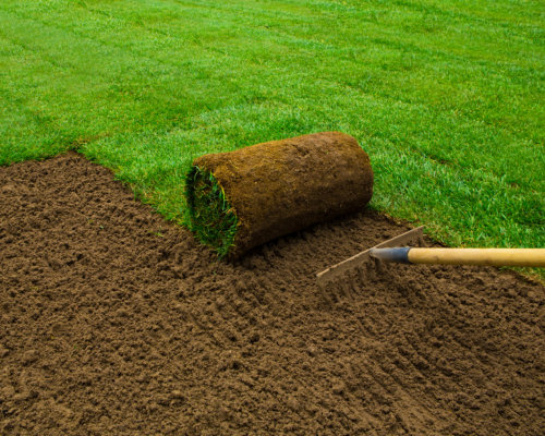 Bluegrass  Sod Pallet 500 sq. ft.