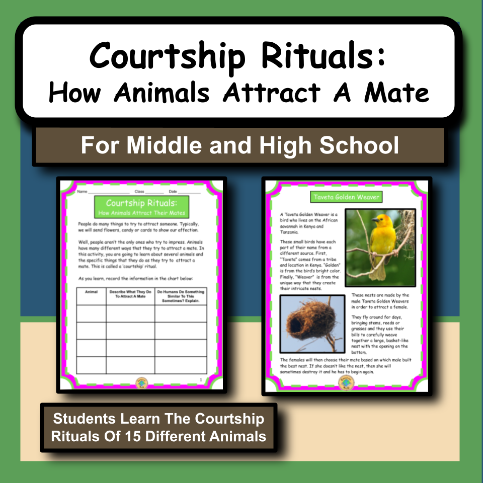 Courtship Rituals: How Animals Attract A Mate