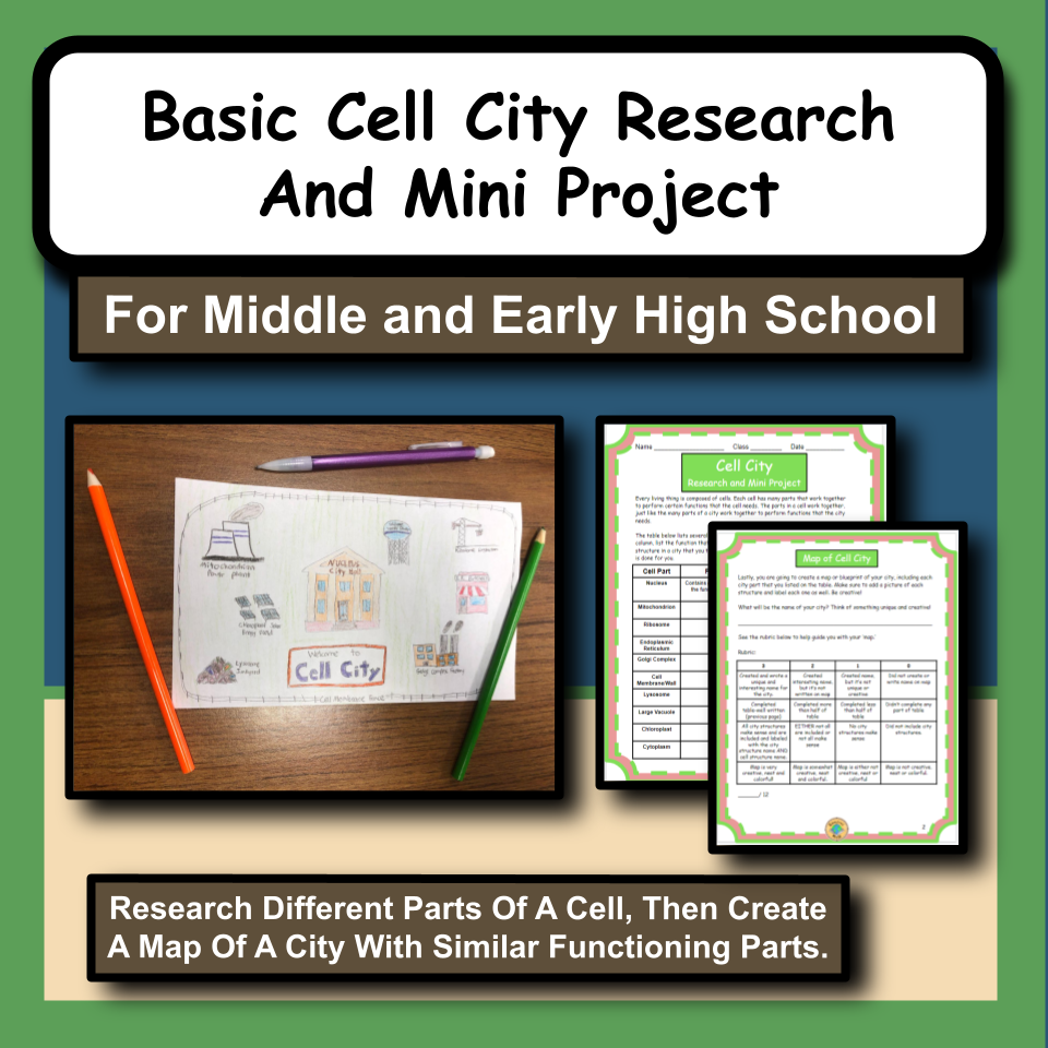 Basic Cell City Research And Mini Project