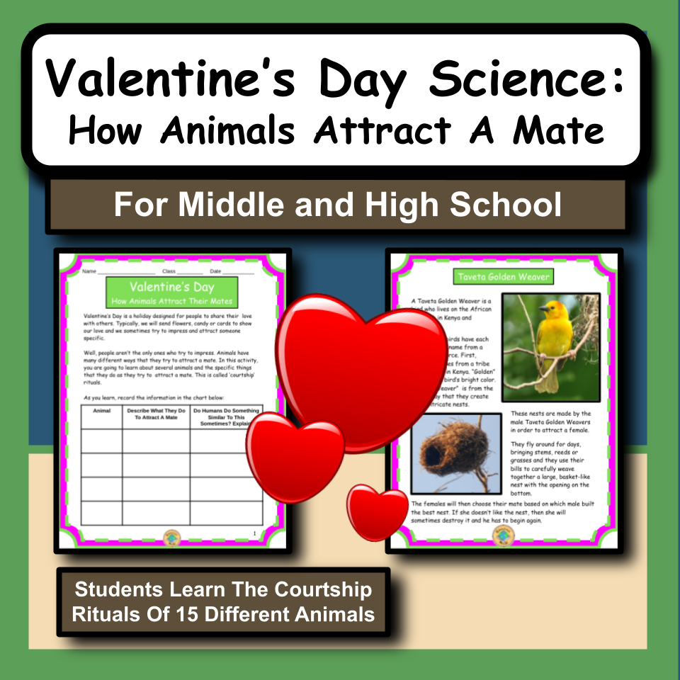 Valentine's Day Science: How Animals Attract a Mate