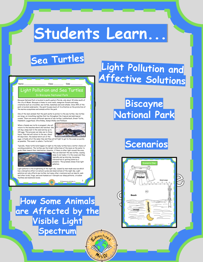 Light Pollution and Sea Turtles in Biscayne National Park Activity Packet