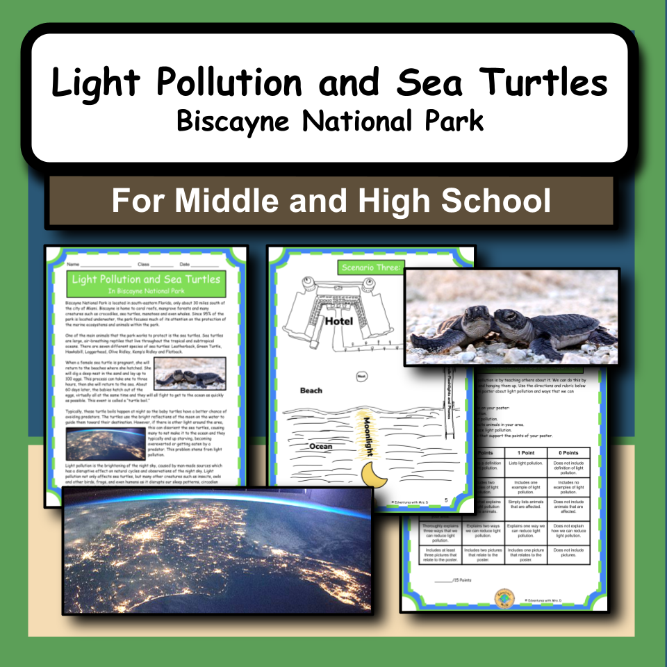 Light Pollution and Sea Turtles in Biscayne National Park Activity Packet