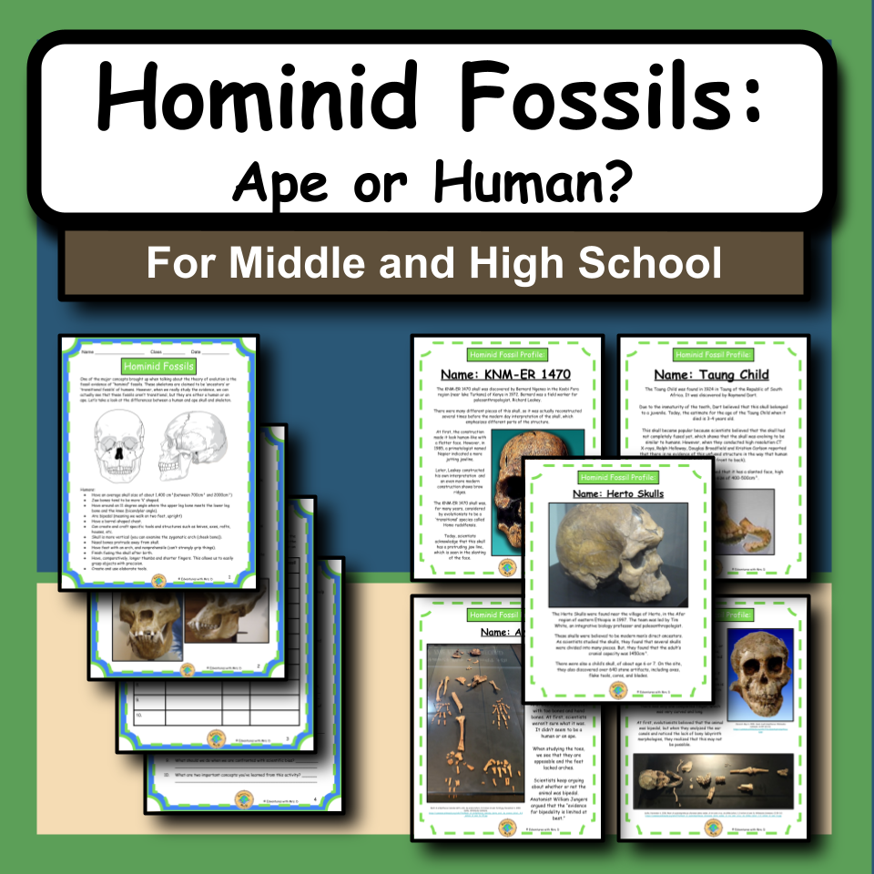 Hominid Fossils: Ape or Human? Activity