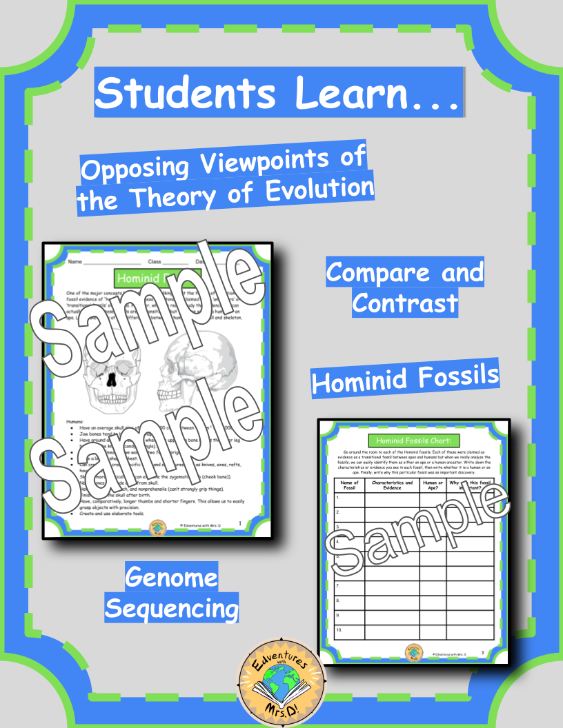 Hominid Fossils: Ape or Human? Activity