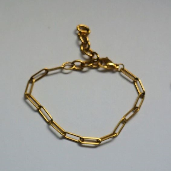 Paperclip Bracelet