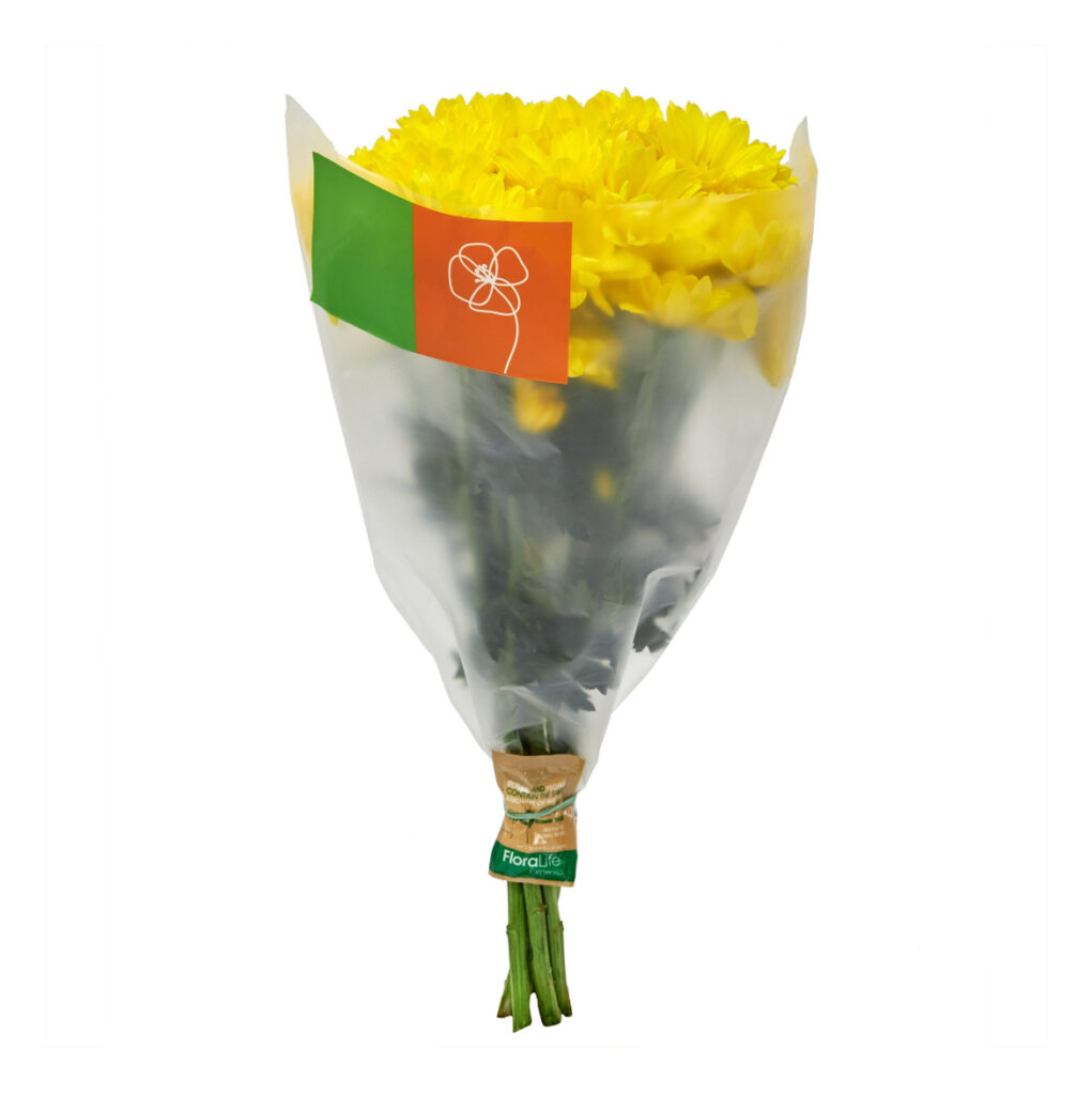 Real fresh flower bouquet with free short note (Same day or next day delivery) 40000 to usa and 45000 to other countries 