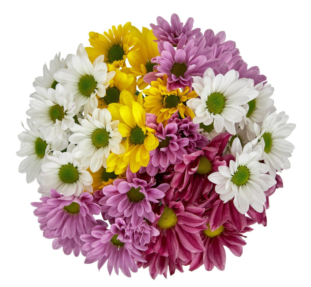 Real fresh flower bouquet with free short note (Same day or next day delivery) 40000 to usa and 45000 to other countries 