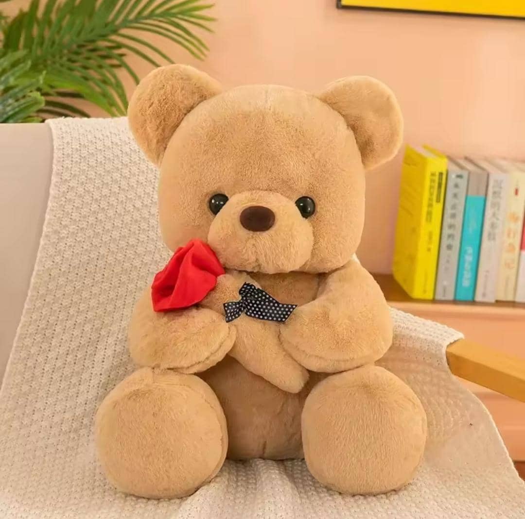 Plush Teddy Bear