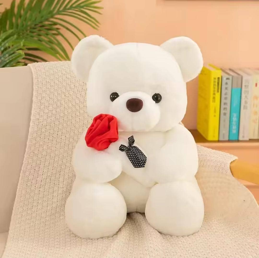Plush Teddy Bear