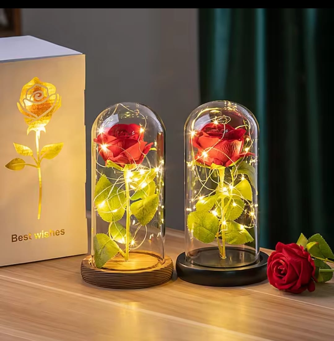 Enchanted Rose in Glass Dome