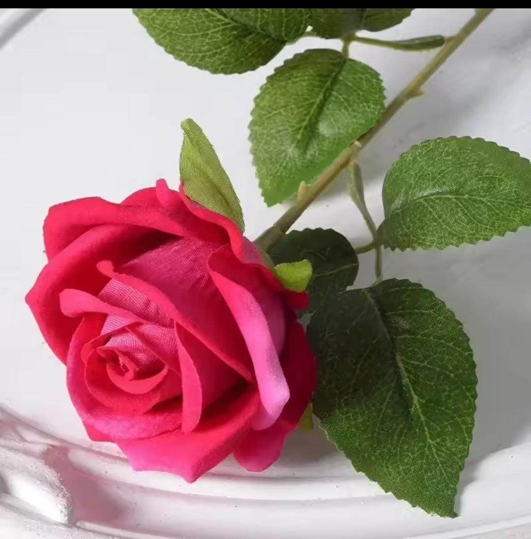 Bouquet of Red Roses (20 pcs)