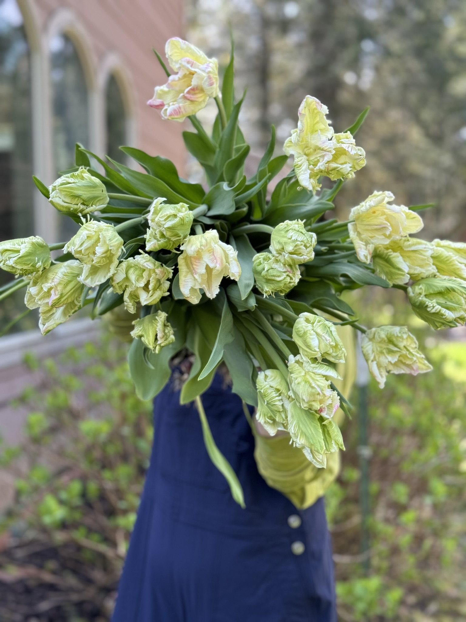 4 Week Spring Bouquet Subscription (Pick-up Option)