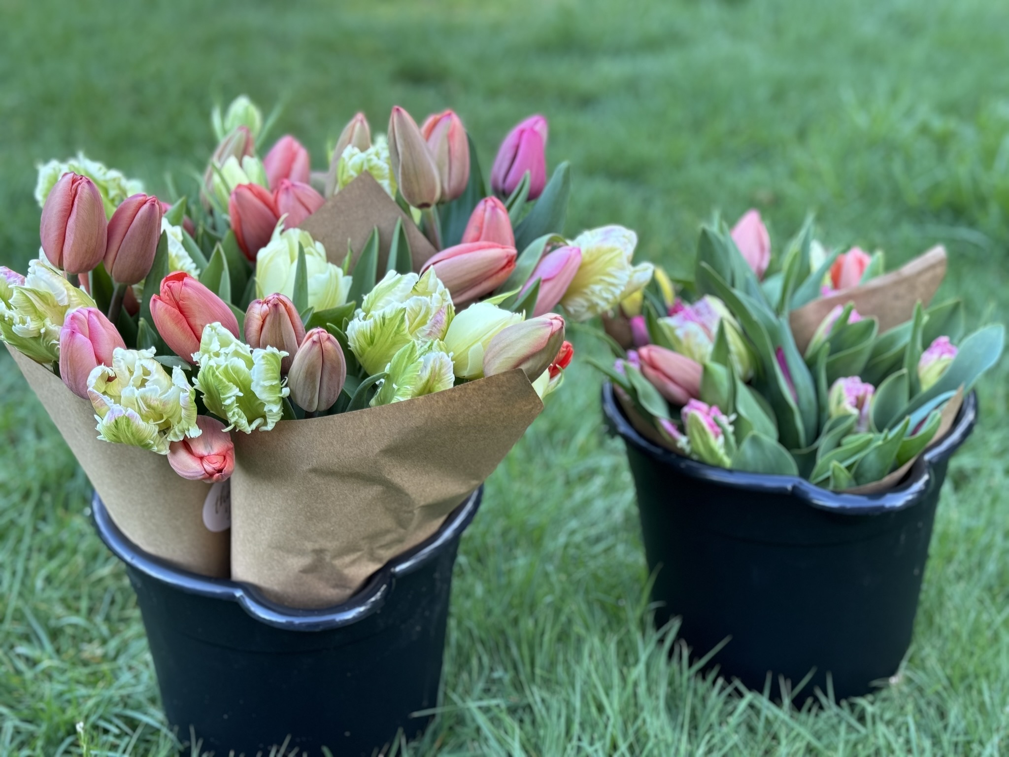 4 Week Spring Bouquet Subscription (Pick-up Option) 