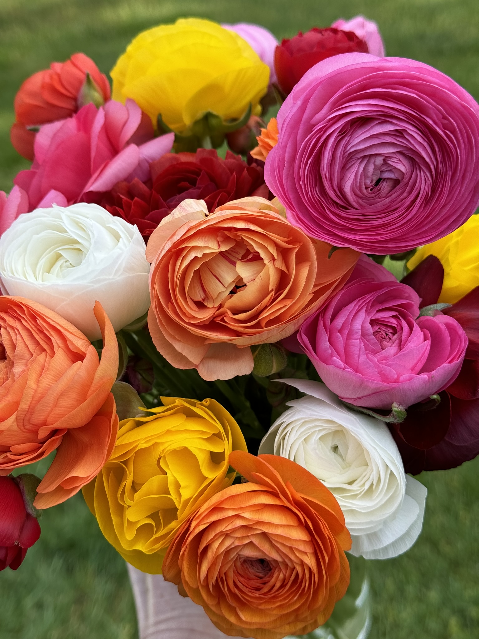 4 Week Spring Bouquet Subscription (Delivery Option)