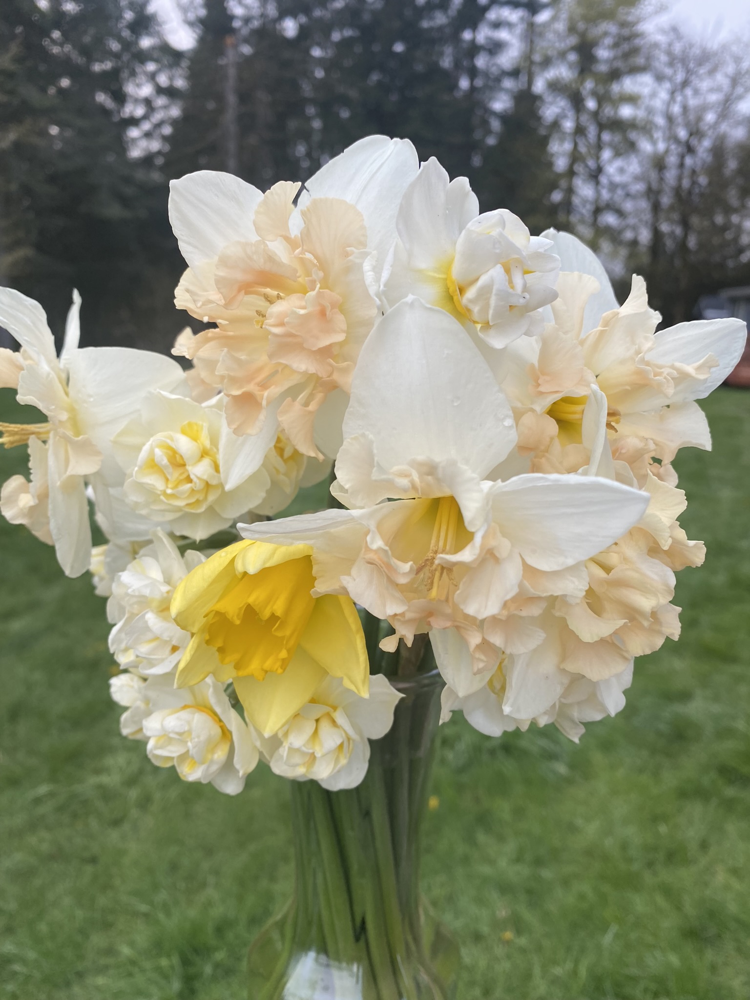 4 Week Spring Bouquet Subscription (Delivery Option) 